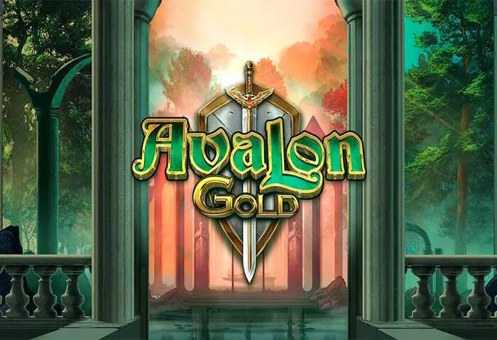Mobile Casino App & Exclusive Bonuses